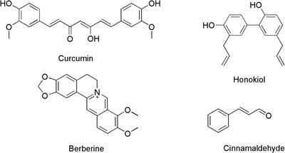 The study of honokiol as a natural product-based antimicrobial agent and its potential interaction with FtsZ protein